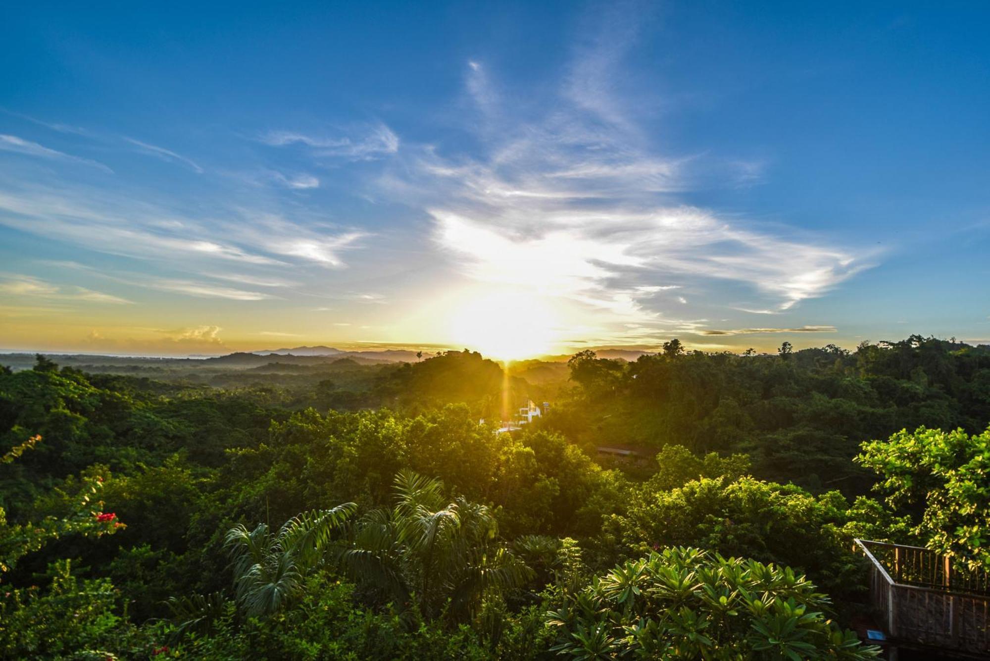 Clave Verde Ecolodge Las Terrenas Eksteriør bilde