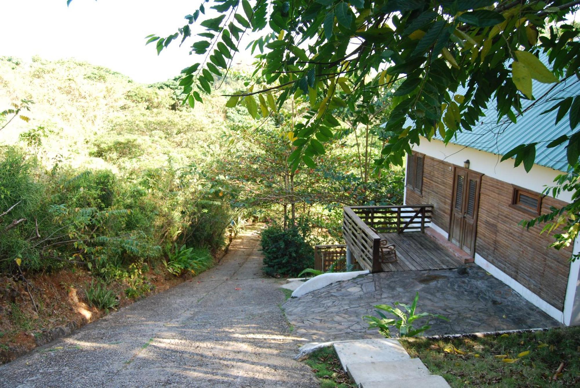 Clave Verde Ecolodge Las Terrenas Rom bilde