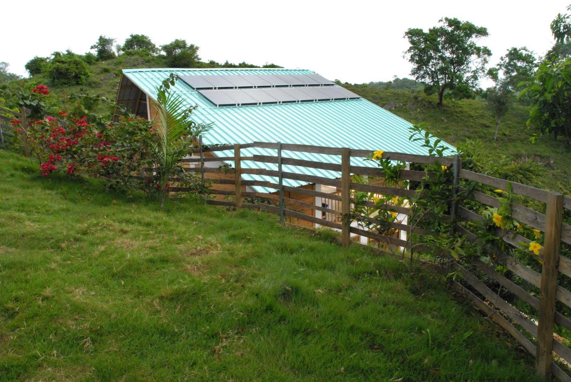 Clave Verde Ecolodge Las Terrenas Eksteriør bilde
