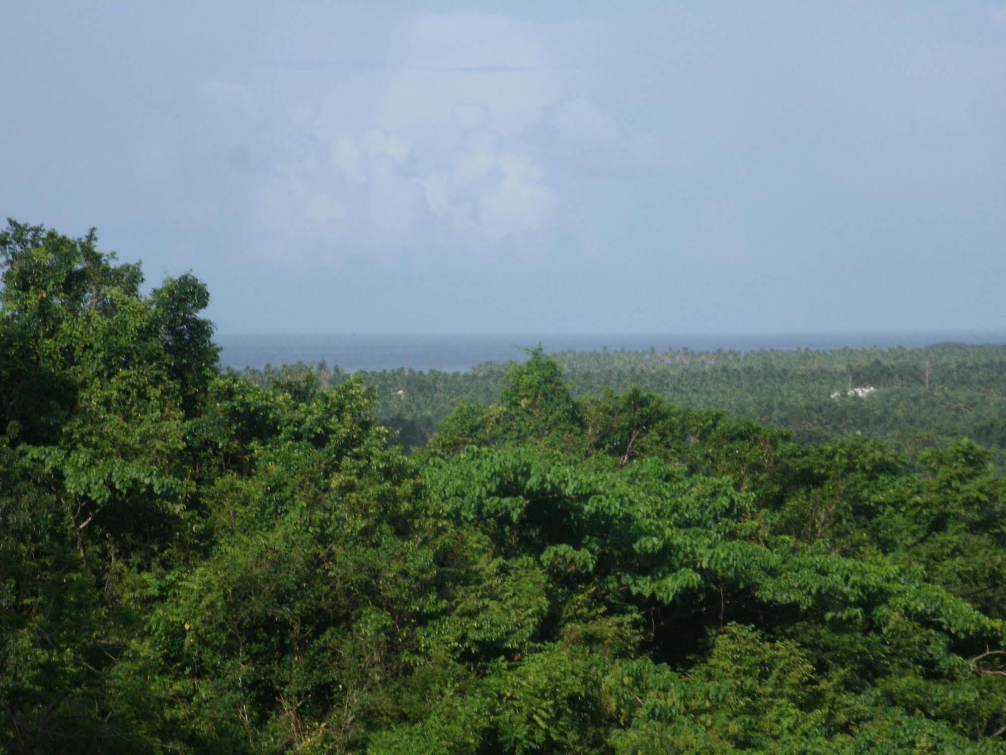 Clave Verde Ecolodge Las Terrenas Eksteriør bilde